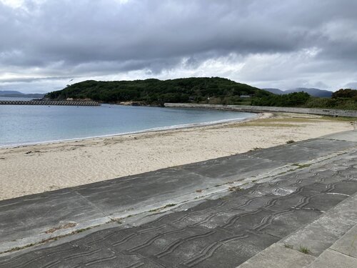 11白浜海岸.jpg