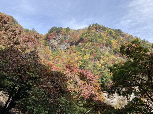 4紅葉と岩壁.jpg