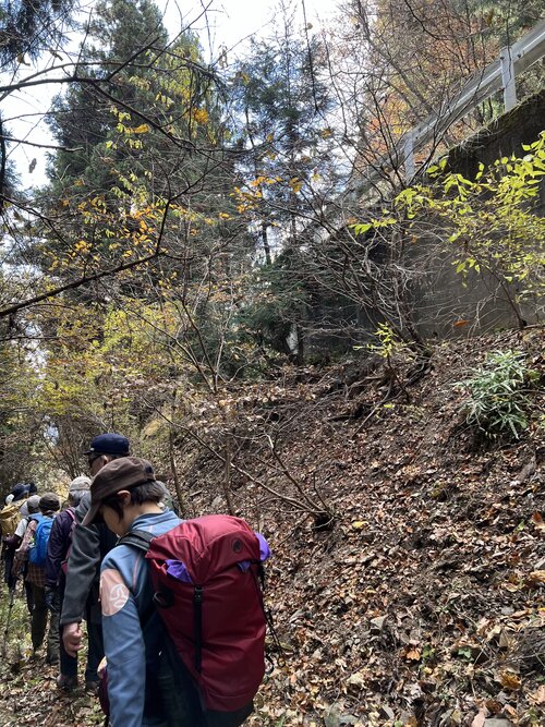 林道から登山道へ.jpg