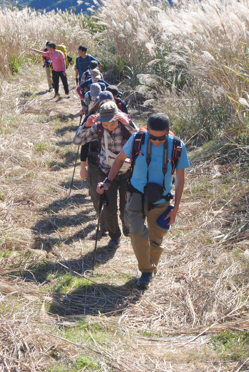 ススキの登山道を歩く.jpg