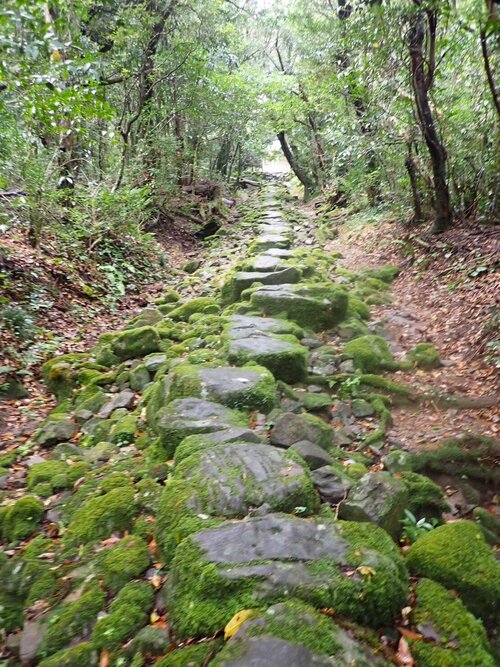 写真１３　裸足参りの石畳.jpg