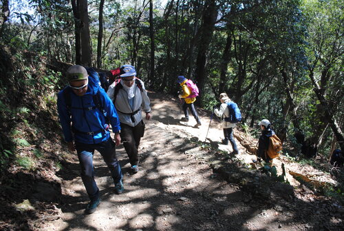 楠元秀一郎ガイドを先頭に山道を歩く.jpgのサムネイル画像