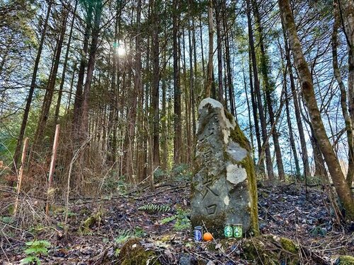 11.武甲山西参道登山口.jpgのサムネイル画像