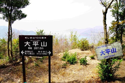 １４、大平山山頂.JPG