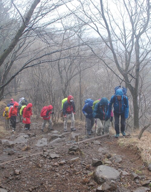 楠元秀一郎ガイドを先頭に雨の中を歩く＝24年4月12日撮影.jpg