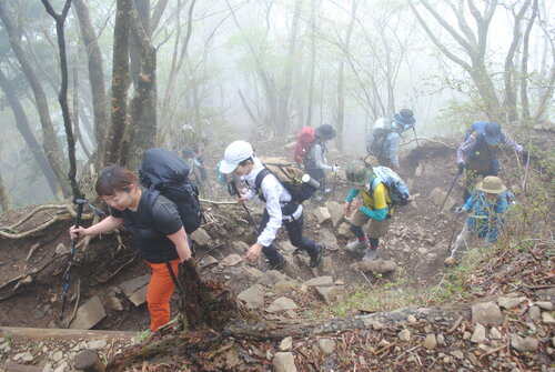 つづら折りの登山道を渡辺四季穂ガイド（左）を先頭に登る参加者＝24年4月25日撮影.jpgのサムネイル画像