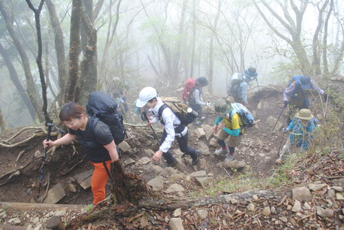 つづら折りの登山道を渡辺四季穂ガイド（左）を先頭に登る参加者＝24年4月25日撮影.jpgのサムネイル画像