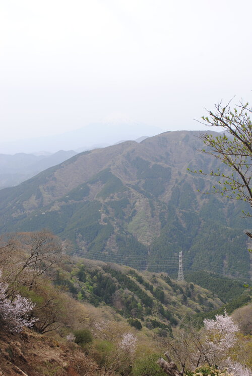 うっすらと富士山が見えた.jpg