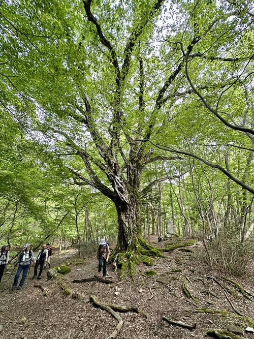 写真１８.JPGのサムネイル画像のサムネイル画像