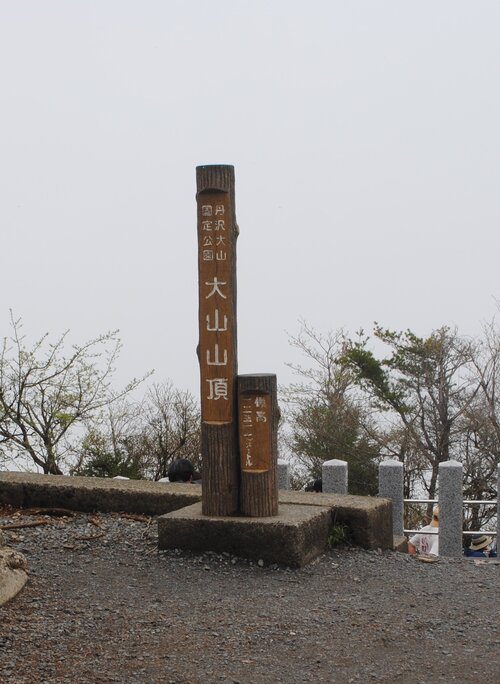 大山山頂.jpgのサムネイル画像