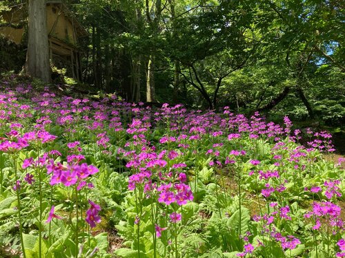写真３.JPGのサムネイル画像