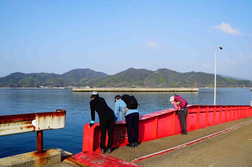 ９、お魚いるかな？　正面が佐木島.JPG