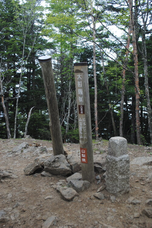 大菩薩嶺山頂.jpg