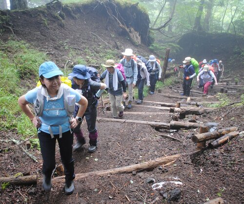 小野ガイドを先頭に登りつめる＝２０２４年６月２９日.jpg