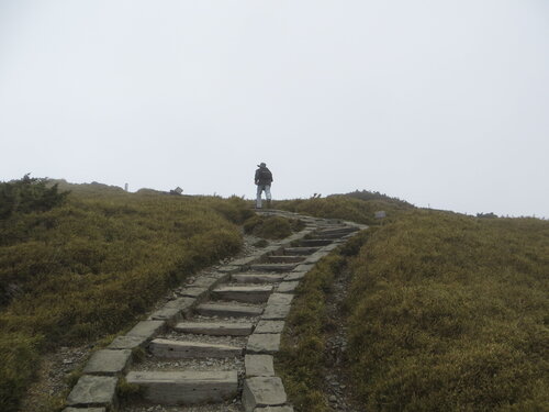 6歩きやすい登山道IMG_8283.JPG