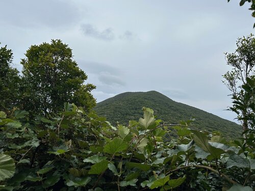 井之川岳.jpg