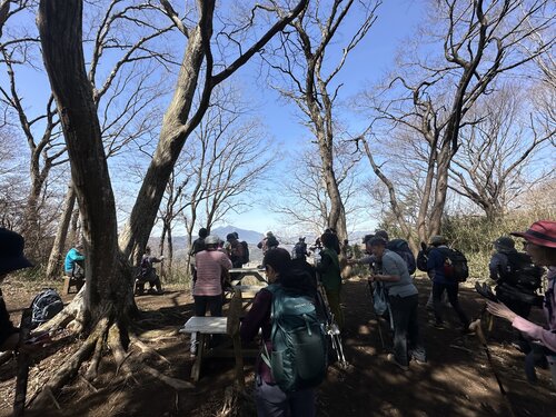 写真11、黒文字平から筑波山の眺め②.jpeg