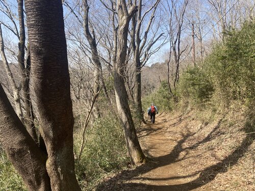 写真9、縦走路.jpeg