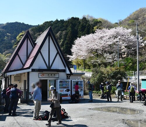 モザイク処理１.jpg