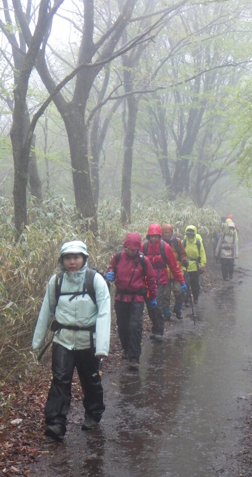雨の中、下山する渡辺ガイドら.jpg