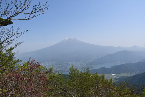 黒岳展望台からの富士山。手前は河口湖.jpg