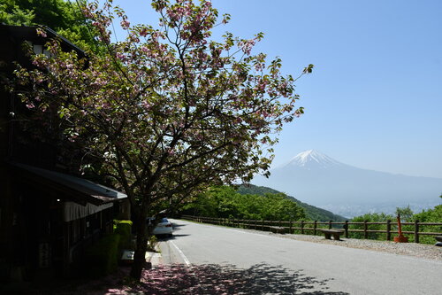 茶店「天下茶屋」(左側)からの富士山。太宰治も見た風景だろうか。.jpg