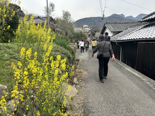 散策風景（黄色の花）.jpeg