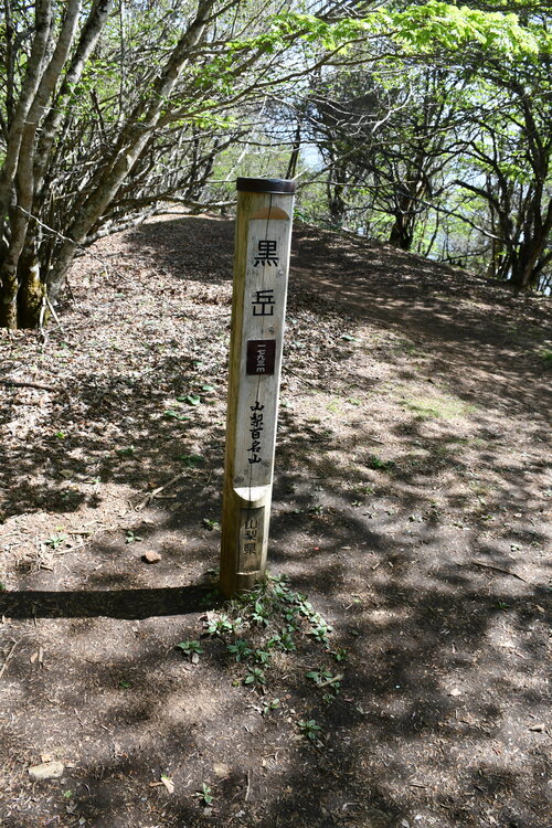 黒岳山頂.jpg