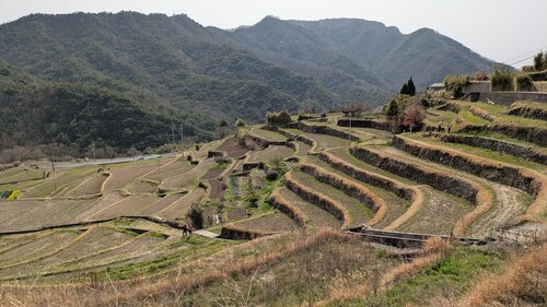 中山千枚田.jpg