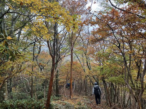 057.jpgのサムネイル画像