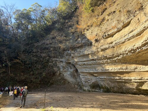 1.大福山の断層.jpgのサムネイル画像