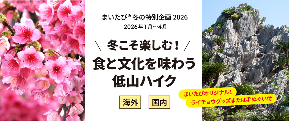 冬こそ楽しむ!食と文化を味わう低山ハイク