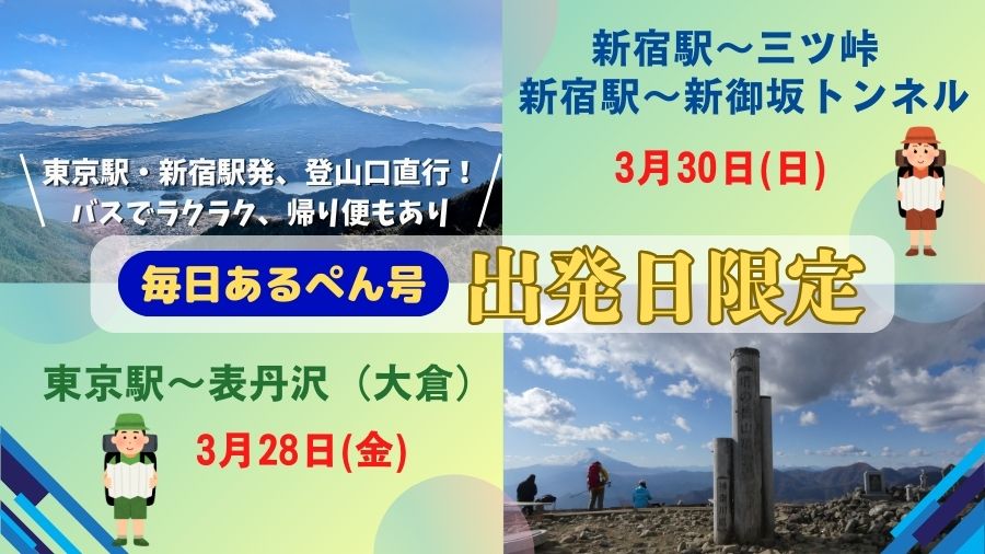 個人型