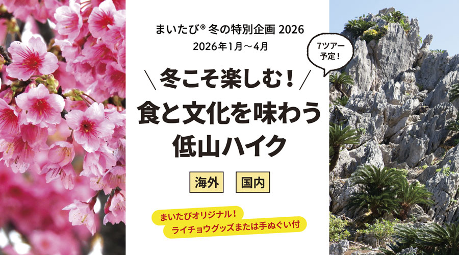 低山企画